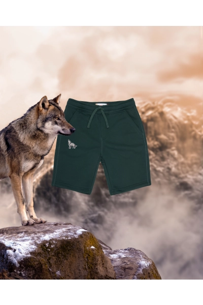 Szorty męskie Basic z wilkiem szarym - zielone